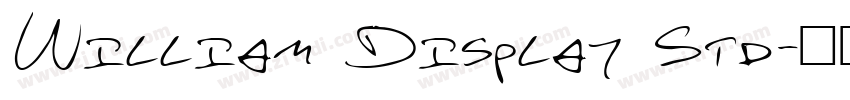 William Display Std字体转换